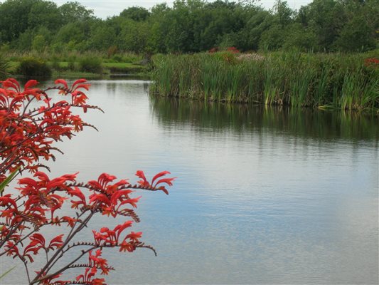 By the Fishing Lakes