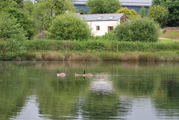 Lakeview Cottrage from the Lakes