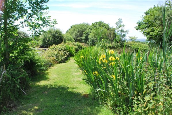 Garden Pathway to Island