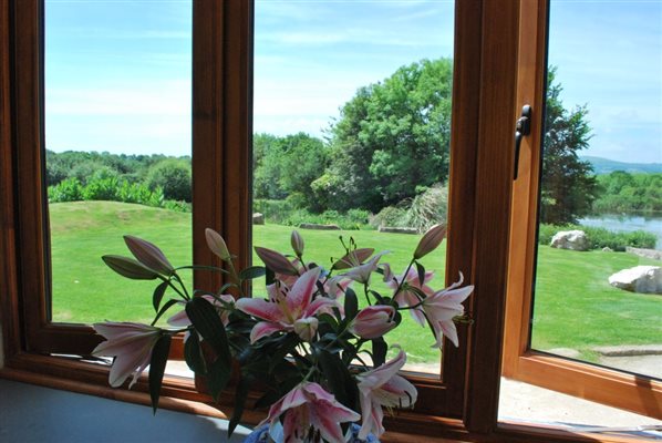 View from Ground Floor Lounge