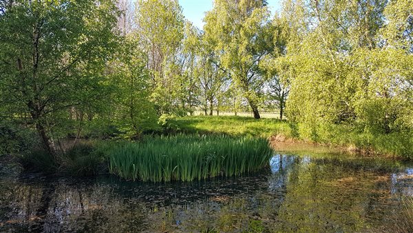 Farm pond