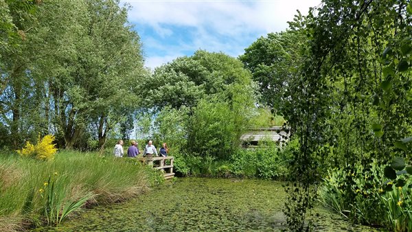 farm pond