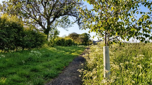 pond field track