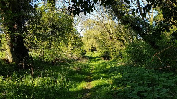 The medieval pilgrim's route to Holy Island 