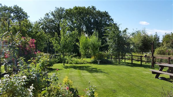 The garden at Newt Cottage