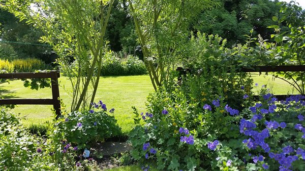 The garden willow arch