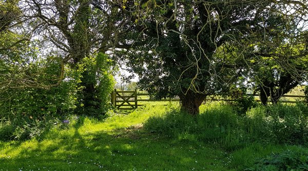 The garden gate through to the organic meadow