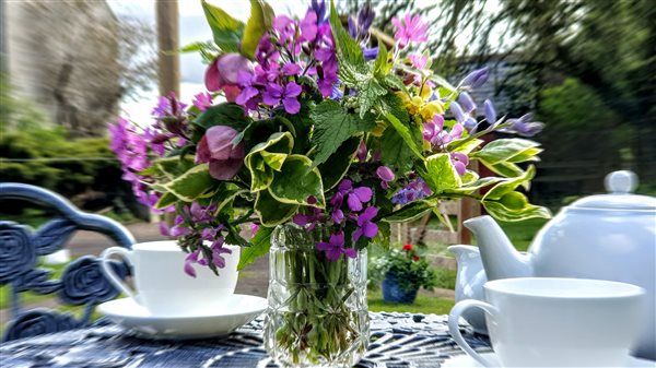 Flowers gathered from around the farm