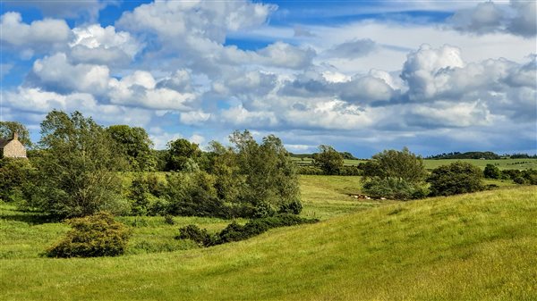 Hunting Hall's organic meadow next to the steading