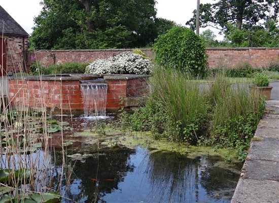 Wildlife and ponds