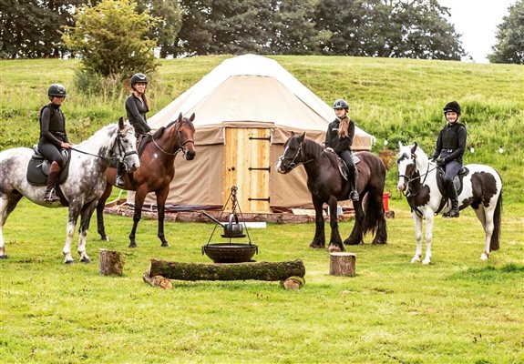 Ponies and Pony Glamping