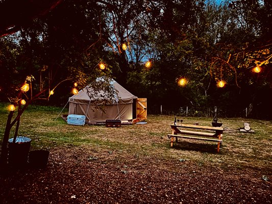 Pony Glamping by night