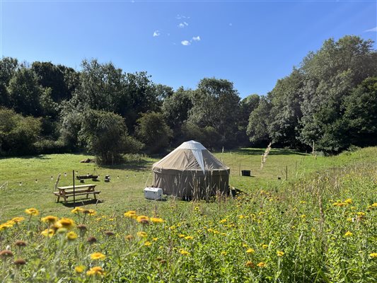 Pony Glamping