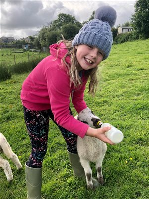 Animal feeding