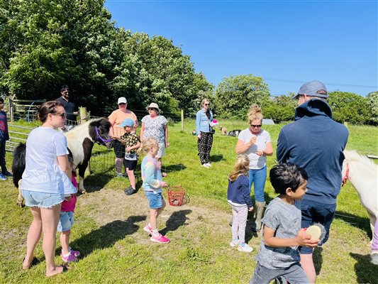 Animal Feeding and petting sessions