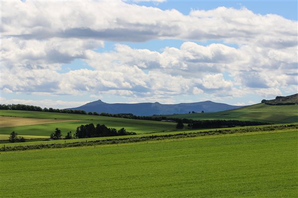 View of Bennachie from lodges