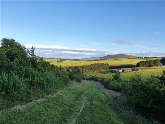 Farm tracks with view of Bennachie