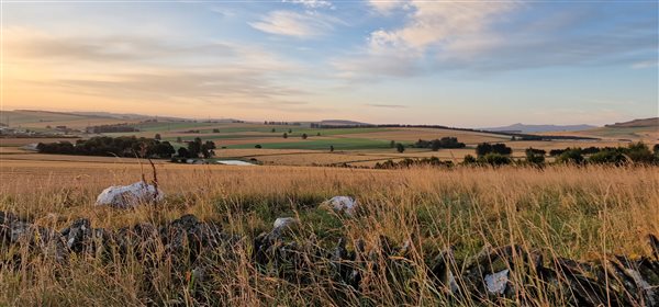 Stone circles at harvest