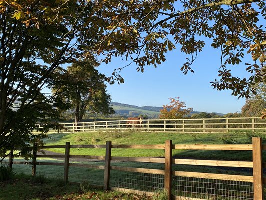 Hop Kilns Garden Views with Hereford Bull