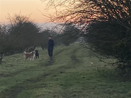 Dogs are a mans best friend! Dogs are a mans best friend!