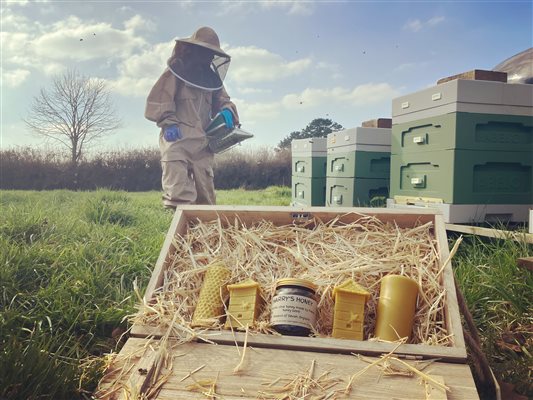 honey at farm