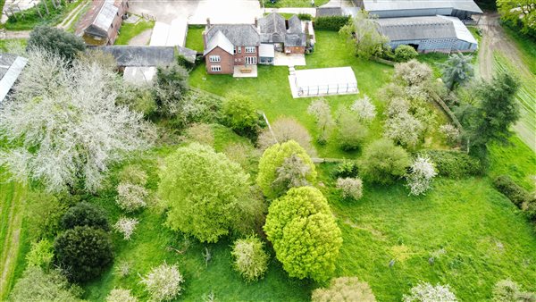 The Grange back garden