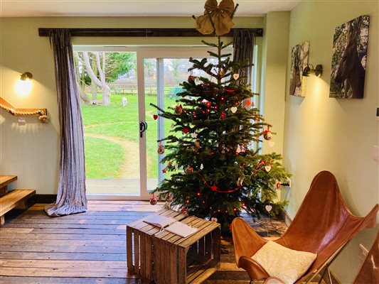 Christmas deer den 