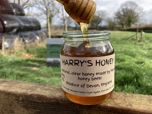 honey at the farm