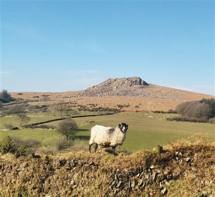 Dartmoor nearby