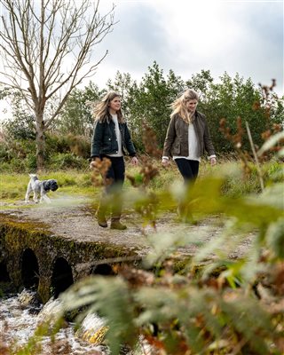 Two women enjoying a peaceful countryside walk with a dog along a scenic nature trail, surrounded by trees and greenery. Two women enjoying a peaceful countryside walk with a dog along a scenic nature trail, surrounded by trees and greenery.