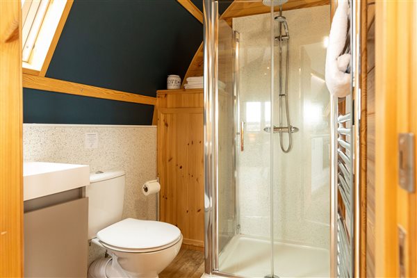 Modern en-suite bathroom in a luxury glamping cabin, featuring a spacious glass-enclosed shower, toilet, washbasin and warm natural wood finishes.