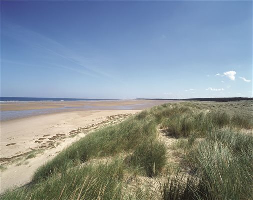 Nearby Holkham beach