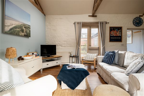 Owl living space with smart tv