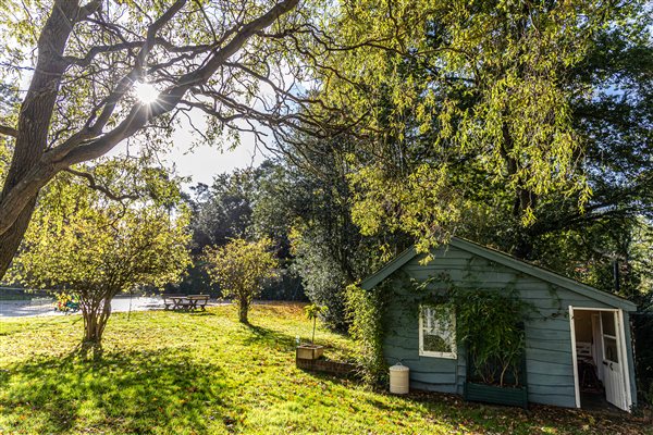Summer house with toys