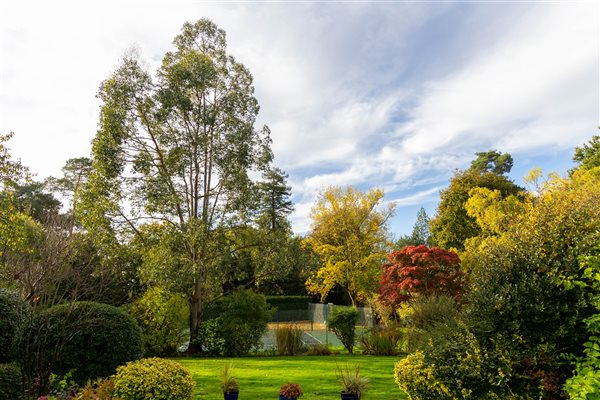 Garden views