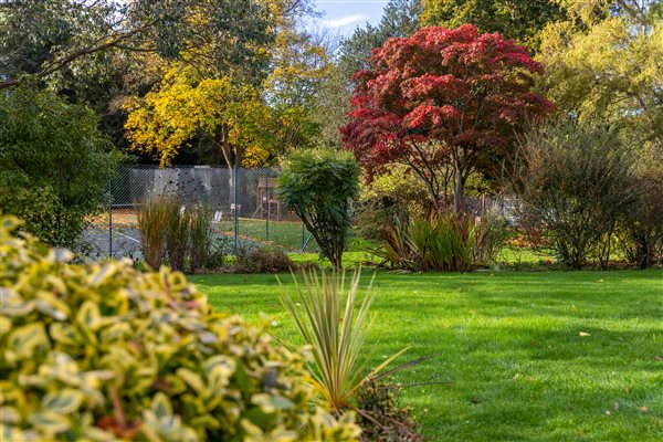 Garden views