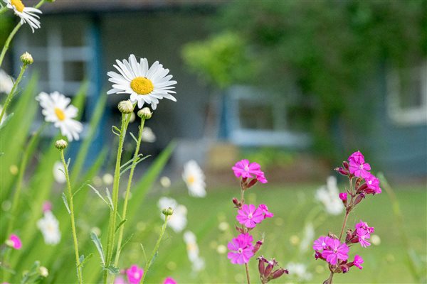 gorgious gardens