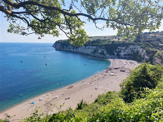Beer beach