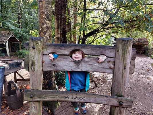 Wildwood Escot - in the stocks!