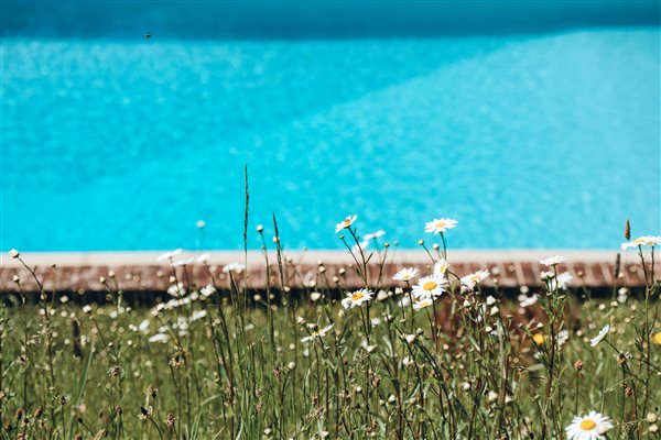 outdoor heated swimming pool East Devon Colyton Seaton Beer
