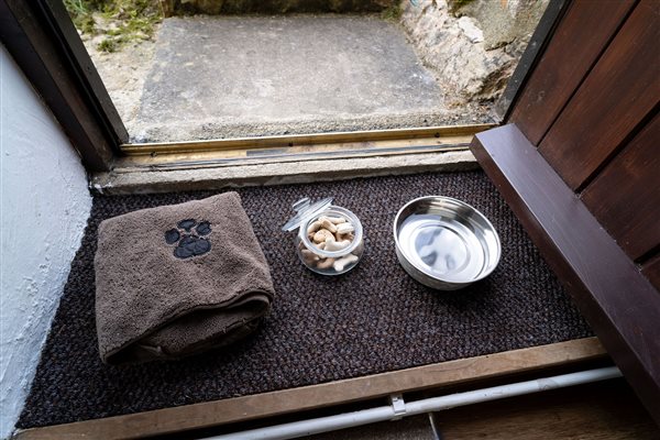 Doggy welcome pack