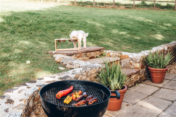 Summer BBQ self-catering Devon