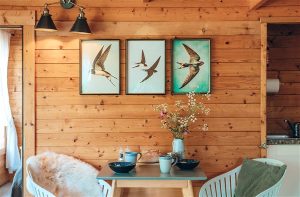 Swallows cabin Colyton East Devon