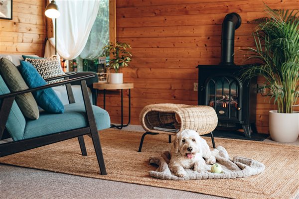 Dog friendly escapes cabin East Devon