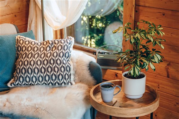 Cosy cabin East Devon