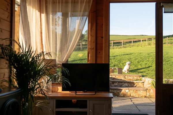 Dog friendly cabin with large enclosed garden East Devon