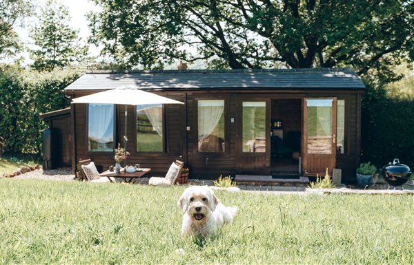 Swallows cabin relax unwind east devon escapes