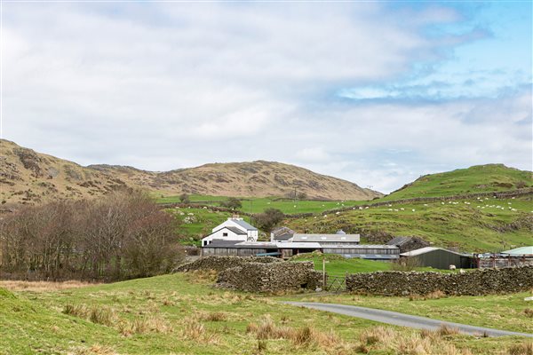 Birchbank and fells