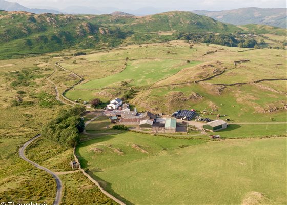 aerial view of Birchbank