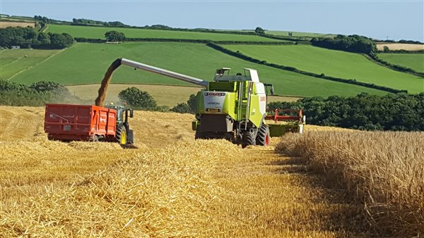 harvest